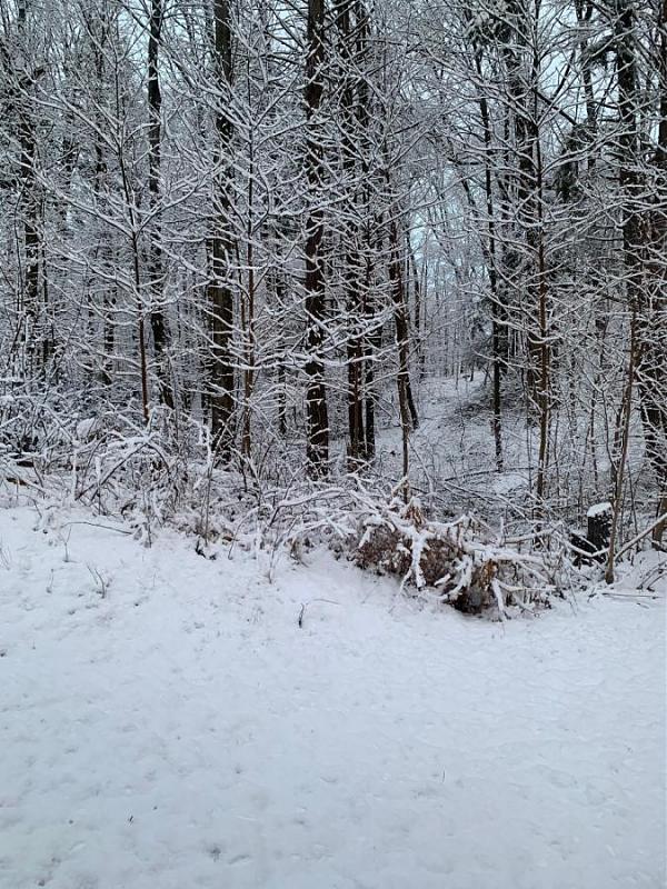 Click image for larger version  Name:	snow.jpg Views:	0 Size:	165.3 KB ID:	2062
