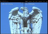 Click image for larger version  Name:	eagle.jpg Views:	0 Size:	112.6 KB ID:	2904