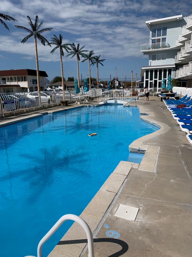 Click image for larger version  Name:	Shalimar Voyage October 2019.jpg Views:	0 Size:	97.4 KB ID:	4863