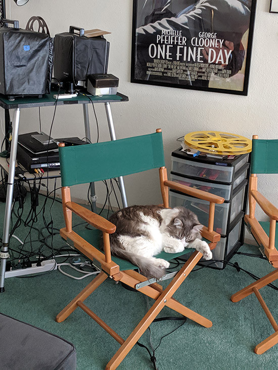 Click image for larger version

Name:	Buster-Director-Chair.jpg
Views:	457
Size:	162.8 KB
ID:	7185