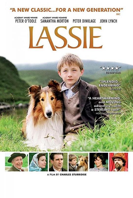 Click image for larger version

Name:	lassie.jpg
Views:	1908
Size:	89.2 KB
ID:	8483