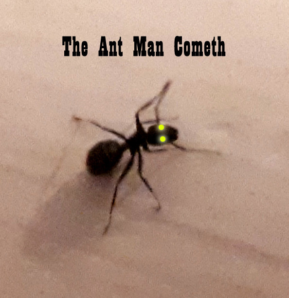 Click image for larger version

Name:	antman.jpg
Views:	455
Size:	81.3 KB
ID:	8775