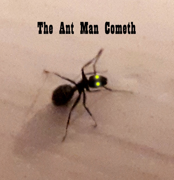 Click image for larger version

Name:	antman.jpg
Views:	427
Size:	81.3 KB
ID:	8775