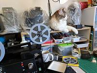 Click image for larger version

Name:	Buster-Film-help.jpg
Views:	302
Size:	145.8 KB
ID:	12024