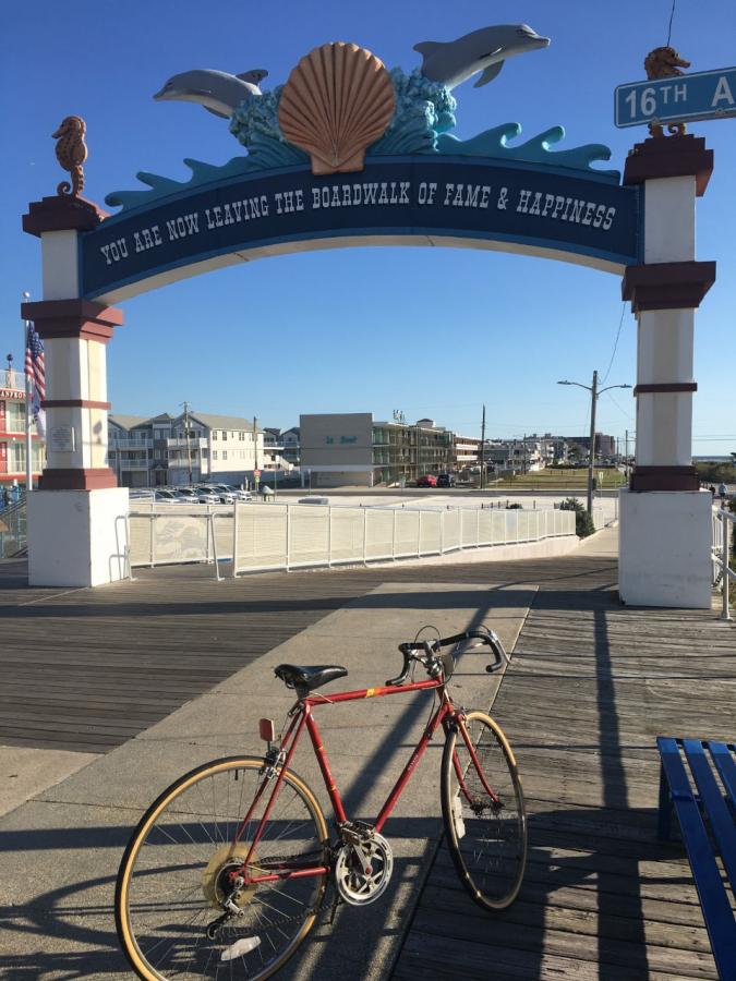 Click image for larger version  Name:	thumbnail_IMG_2612 Boardwalk of Happiness.jpg Views:	0 Size:	95.0 KB ID:	17910