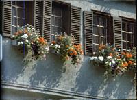 Click image for larger version  Name:	Snap1.jpg Views:	0 Size:	248.6 KB ID:	18680