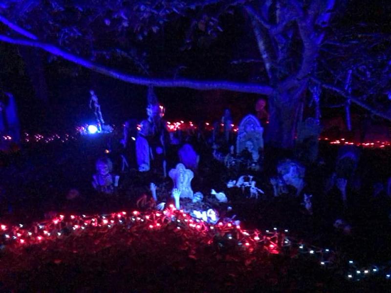 Click image for larger version

Name:	Halloween cemetery - night 2.jpg
Views:	316
Size:	125.1 KB
ID:	19605