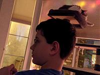 Click image for larger version

Name:	PXL_20201224_042411265.jpg
Views:	615
Size:	93.8 KB
ID:	24000