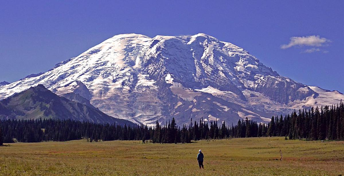 Click image for larger version

Name:	Mount-Rainier-Perspective-DSC_0208-Medium-Res.jpg
Views:	317
Size:	169.1 KB
ID:	25856