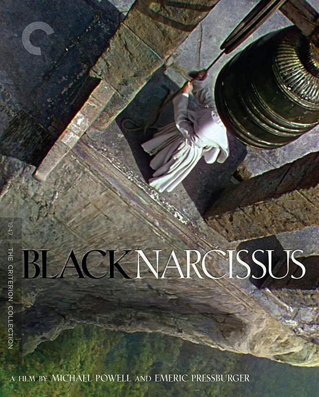 Click image for larger version  Name:	black narcissus.jpg Views:	0 Size:	120.0 KB ID:	27950