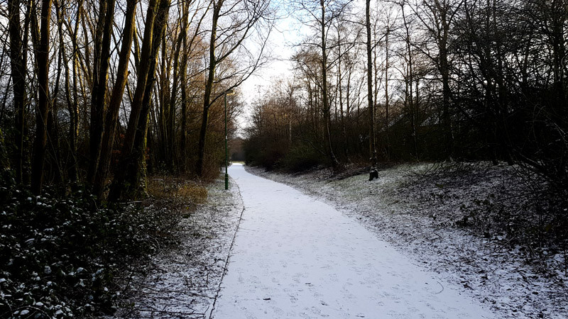 Click image for larger version

Name:	Walk2.jpg
Views:	307
Size:	185.0 KB
ID:	28319