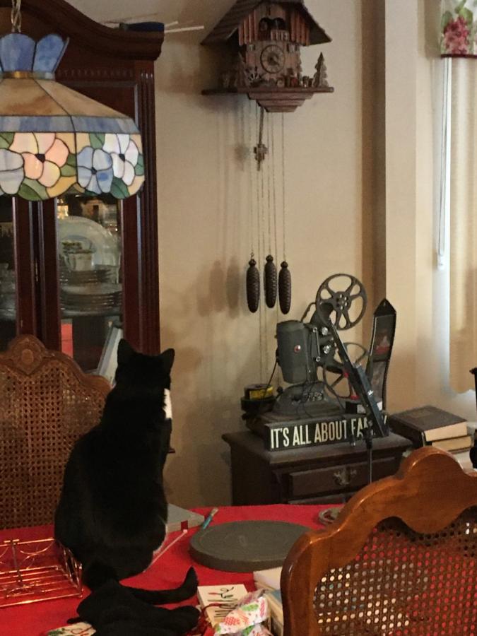 Click image for larger version  Name:	thumbnail_IMG_2943_die Katze mit der Uhr.jpg Views:	0 Size:	76.8 KB ID:	28841