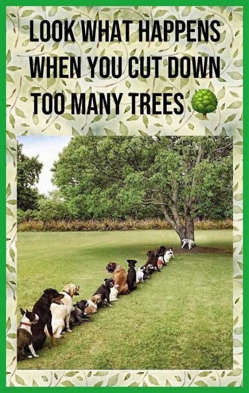 Click image for larger version

Name:	A45D3D0D-8BFC-4511-B46D-FB70C320D5D3.jpeg
Views:	387
Size:	114.5 KB
ID:	29647