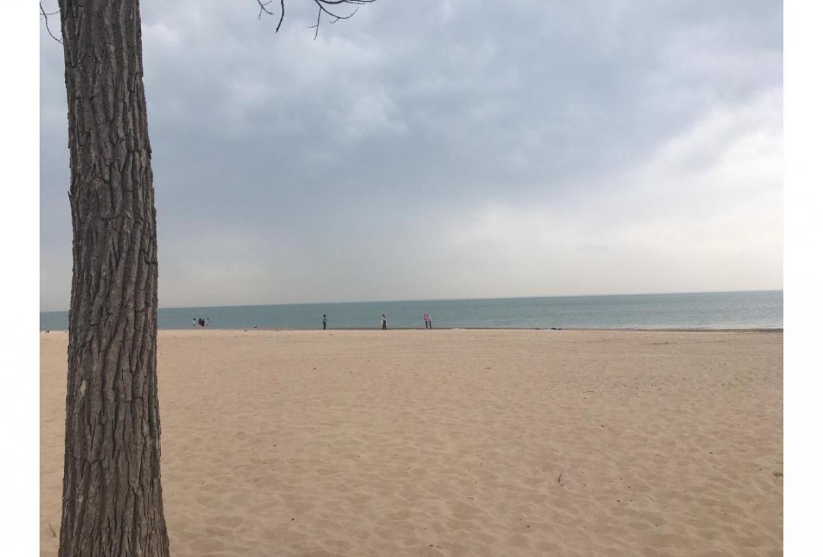Click image for larger version  Name:	Lake Michigan April 2021.jpg Views:	0 Size:	78.0 KB ID:	32089