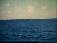 Click image for larger version

Name:	20210420_120411.jpg
Views:	267
Size:	59.2 KB
ID:	32571