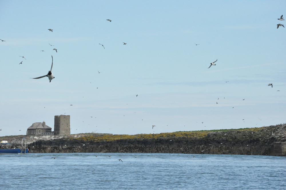 Click image for larger version

Name:	at sea in northumberland.jpg
Views:	228
Size:	131.2 KB
ID:	33765
