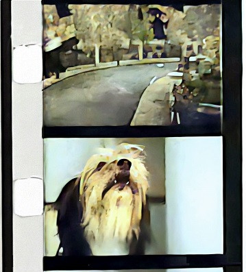 Click image for larger version

Name:	dog super 8mm 31.jpg
Views:	188
Size:	50.8 KB
ID:	37086