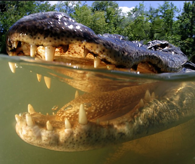 Click image for larger version

Name:	Snap.jpg
Views:	294
Size:	104.9 KB
ID:	38826
