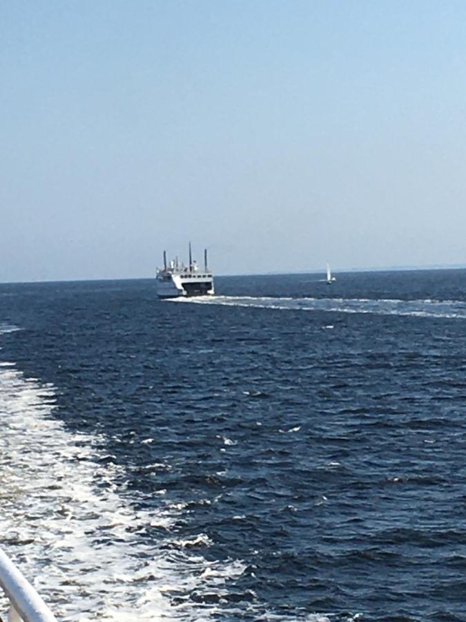 Click image for larger version  Name:	Ferry August 20213.jpg Views:	0 Size:	72.6 KB ID:	44846