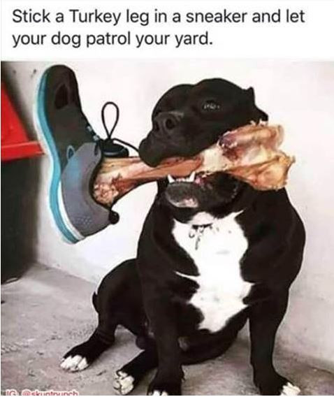 Click image for larger version

Name:	turkey leg.JPG
Views:	203
Size:	58.7 KB
ID:	50643