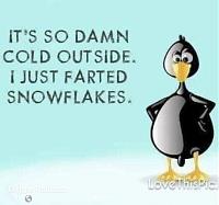 Click image for larger version

Name:	8A65AF40-7D1C-4C78-86FC-D50DE76D99E5.jpeg
Views:	330
Size:	74.2 KB
ID:	52785