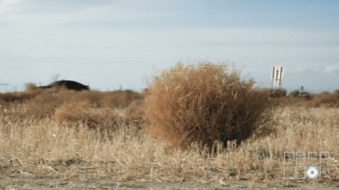 Click image for larger version

Name:	image_13923.gif
Views:	420
Size:	49.2 KB
ID:	61789