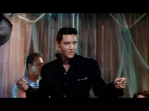 Click image for larger version

Name:	Movie Night II.jpg
Views:	196
Size:	28.3 KB
ID:	62314