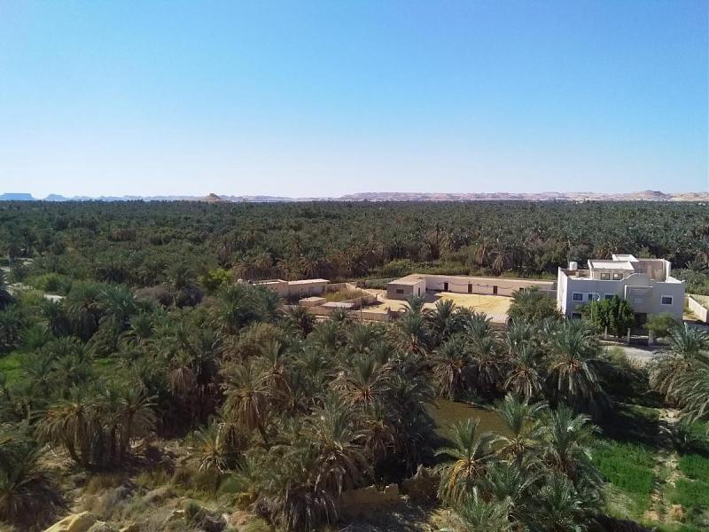 Click image for larger version

Name:	Egypte 2022 Siwa 1.jpg
Views:	344
Size:	144.7 KB
ID:	65898