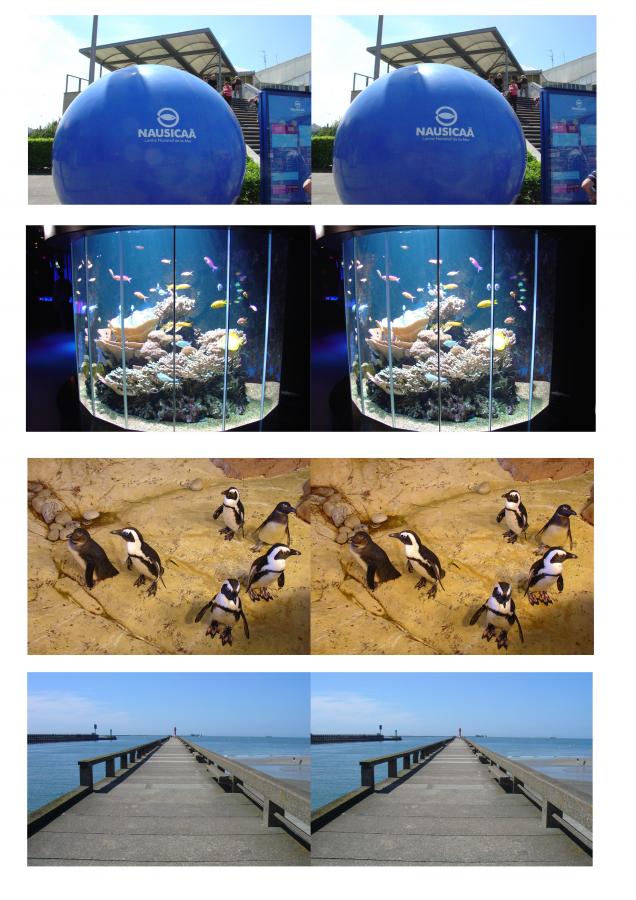 Click image for larger version

Name:	nu 1.jpg
Views:	306
Size:	90.8 KB
ID:	83910