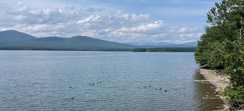 Click image for larger version  Name:	Ashokan - 1.jpg Views:	0 Size:	257.1 KB ID:	83955