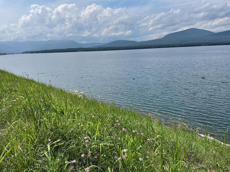 Click image for larger version  Name:	Ashokan - 2.jpg Views:	0 Size:	232.7 KB ID:	83956