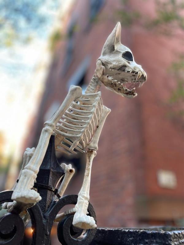 Click image for larger version  Name:	Halloween 2- - 2.jpg Views:	0 Size:	56.0 KB ID:	106679