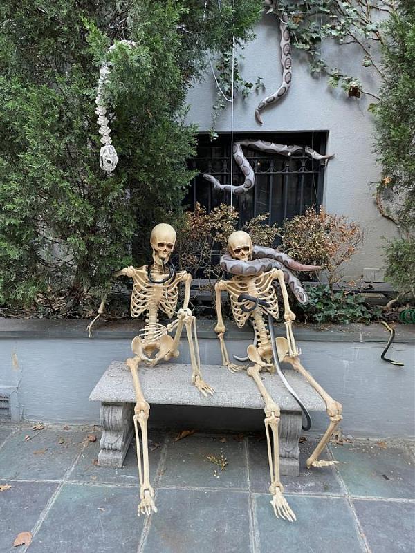 Click image for larger version  Name:	Halloween 2- - 5.jpg Views:	0 Size:	148.4 KB ID:	106677