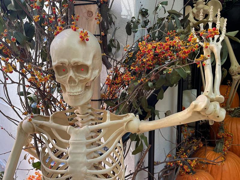 Click image for larger version  Name:	Halloween on the street -  - 2.jpg Views:	0 Size:	209.4 KB ID:	107054