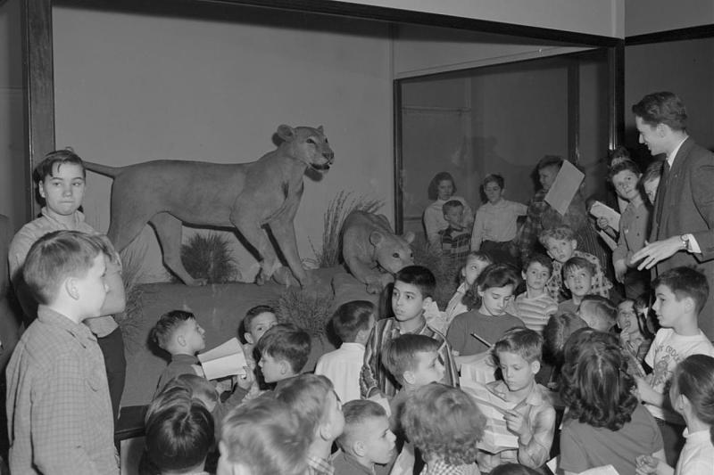 Click image for larger version

Name:	man eating lions-1.jpg
Views:	91
Size:	108.7 KB
ID:	120414