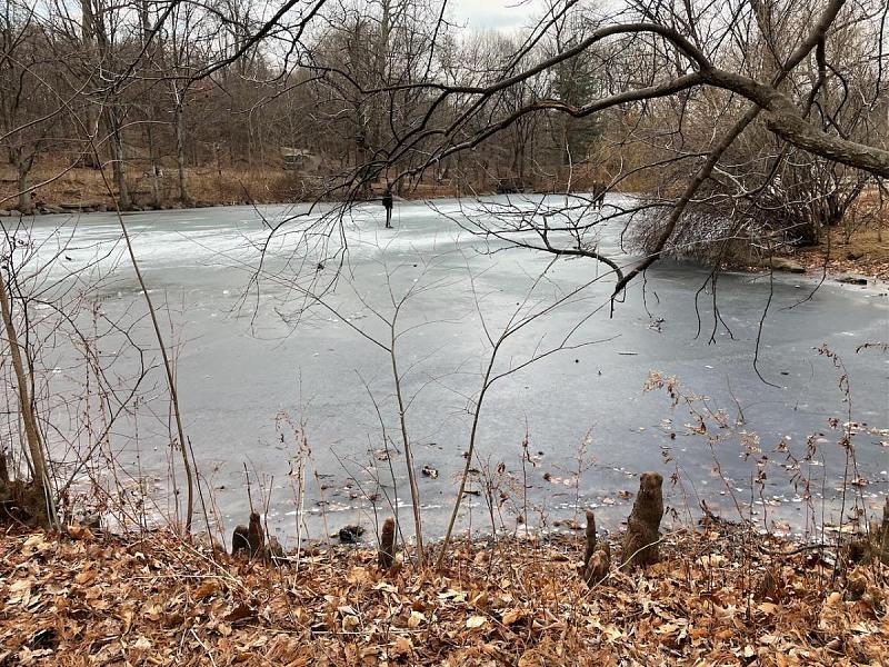 Click image for larger version  Name:	On Frozen pond - 1.jpg Views:	0 Size:	299.3 KB ID:	111464