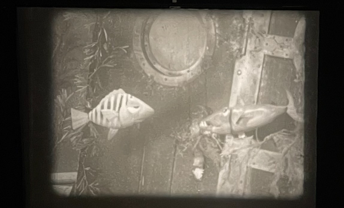 Click image for larger version  Name:	6_Thursday - 10 - Diver Dan.jpg Views:	2 Size:	118.6 KB ID:	114783