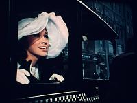 Click image for larger version

Name:	Millie # 13.jpg
Views:	194
Size:	53.8 KB
ID:	104184
