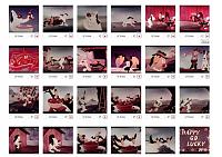 Click image for larger version

Name:	Terry-forum-3.jpg
Views:	234
Size:	148.7 KB
ID:	23707
