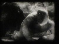Click image for larger version

Name:	IMG_1219.JPG
Views:	268
Size:	75.6 KB
ID:	26706