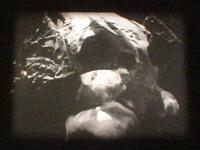 Click image for larger version

Name:	IMG_2533.JPG
Views:	357
Size:	102.1 KB
ID:	39866