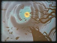 Click image for larger version

Name:	IMG_6277.jpg
Views:	308
Size:	91.1 KB
ID:	64284