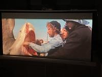 Click image for larger version

Name:	IMG_8876.jpg
Views:	471
Size:	50.8 KB
ID:	69566