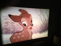 Click image for larger version

Name:	IMG_3177.jpg
Views:	308
Size:	86.2 KB
ID:	82922