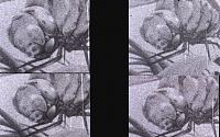 Click image for larger version

Name:	nizo1b.jpg
Views:	250
Size:	132.5 KB
ID:	956
