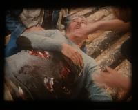 Click image for larger version

Name:	IMG_3480.jpg
Views:	212
Size:	62.3 KB
ID:	98884