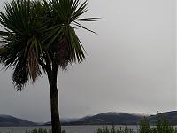 Where else could you see a Palm Tree and snow covered hills in the same picture?