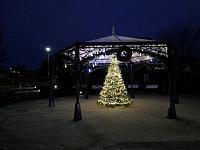 This year's Christmas Tree in Rothesay